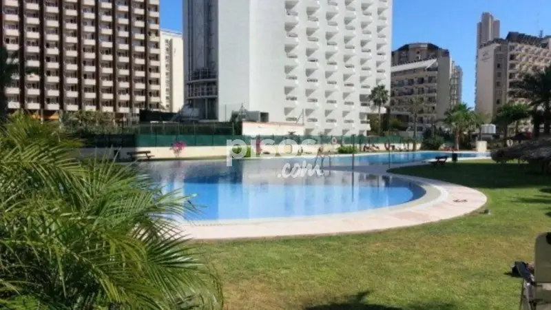 Alquiler Apartamento Gemelos 26 Temporada Alta Calidad