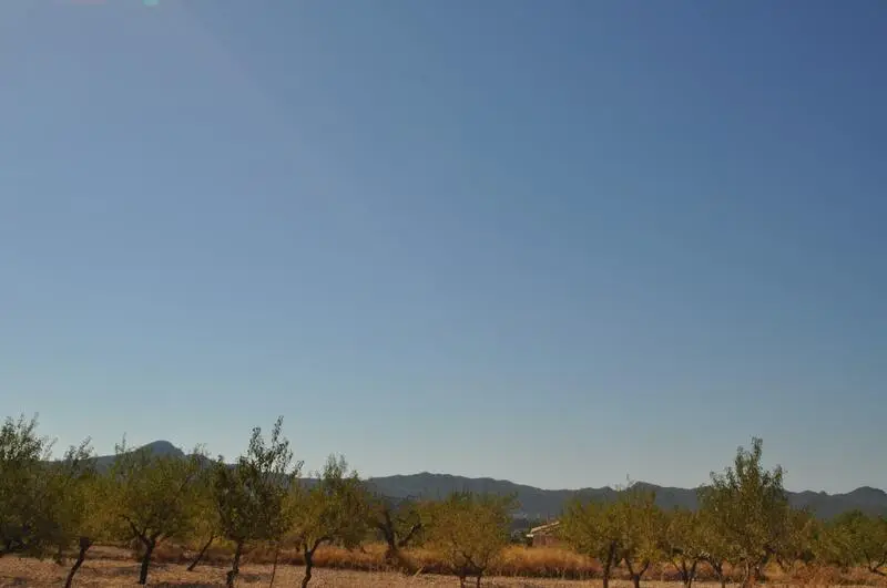 Parcela Urbanizable 5000m2 Macisvenda Vistas Despejadas