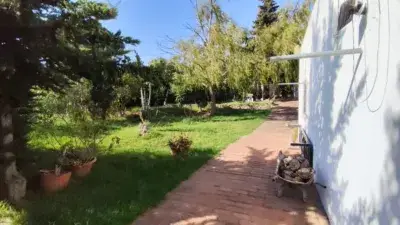 Chalet unifamiliar en alquiler en Puertollano