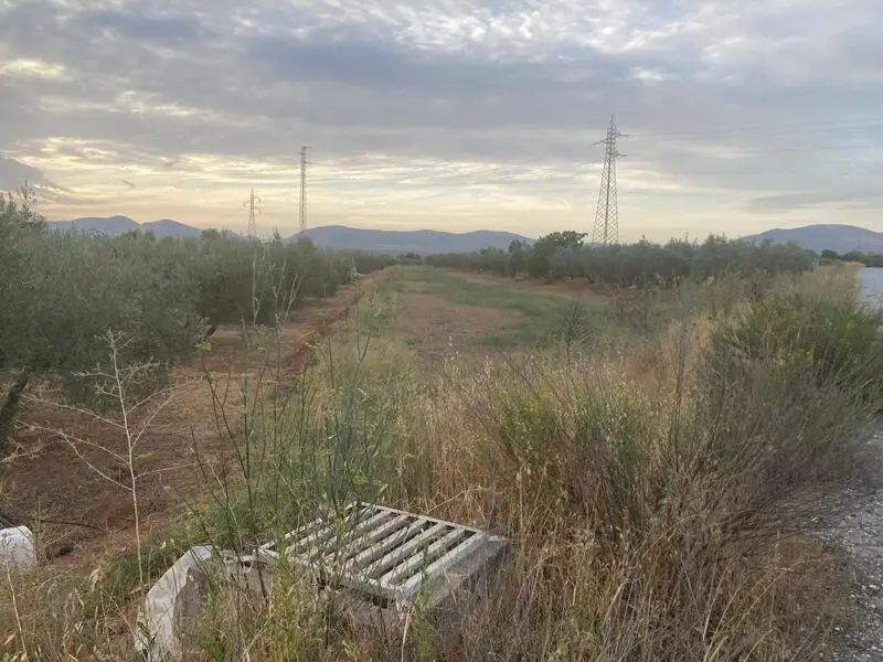 Parcela Rustica en Venta Albolote Granada