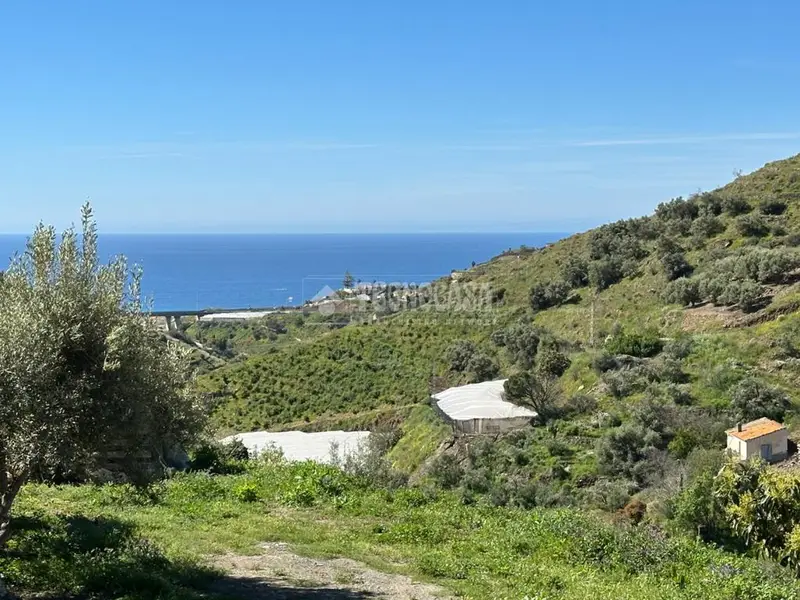 Terreno Rustico en Torrox con Vistas al Mar y la Montana