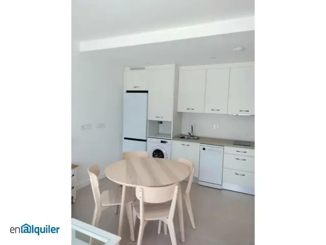 Alquiler Piso Terraza San Miguel 1 Dormitorio Amueblado