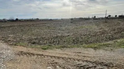 Finca Rústica en Venta Binéfar 102 Hectáreas