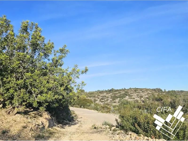 Finca Rustica en Venta Cervera del Maestre