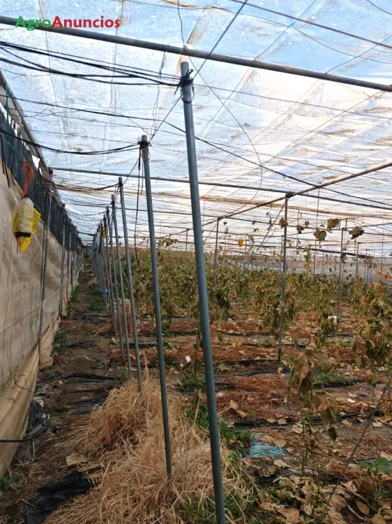 Venta  de Finca con invernaderos en Granada