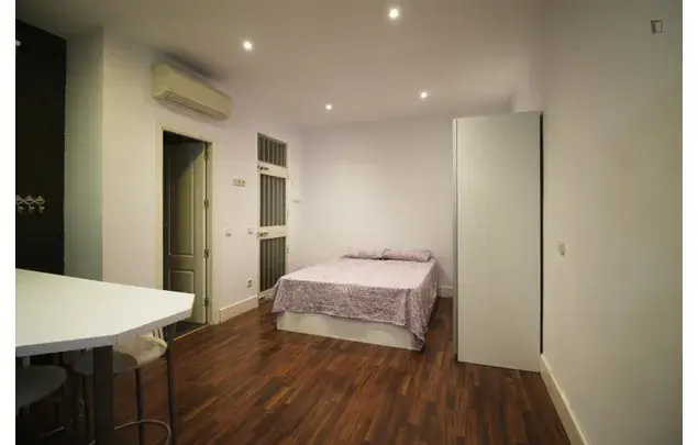 Estudio Madrid 3-24 Meses Alquiler