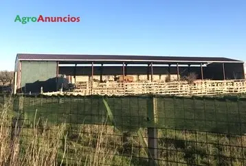 Venta  de Nave para ovejas en Navarra