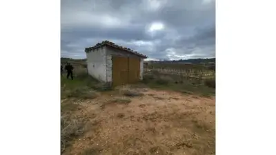 Finca rústica en venta en Montoliu de Lleida