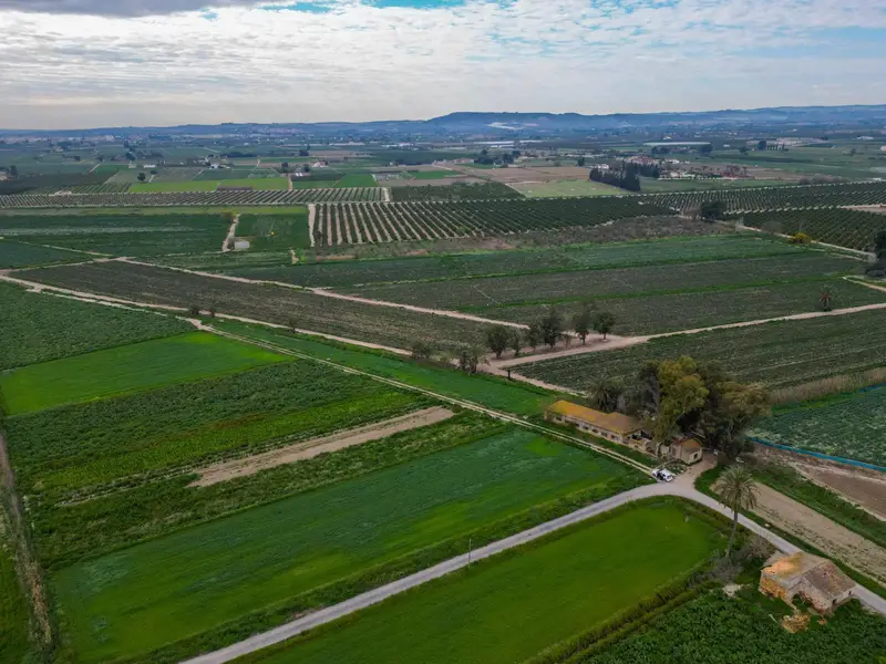 Venta Terreno Callosa Segura 250m2 Nave 1370m2 Parcela