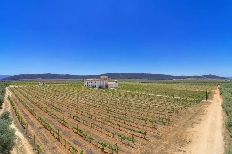 Cortijo de Lujo con Viñedos en Mollina 5 Dormitorios