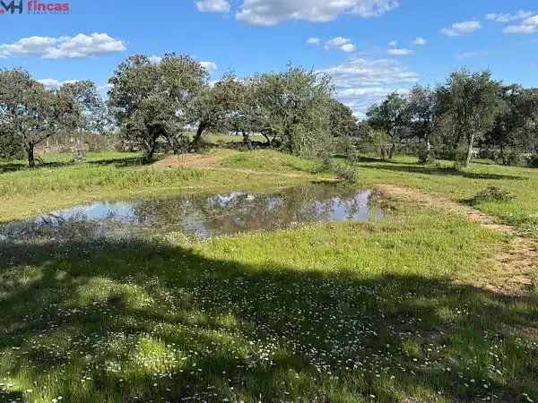 Finca Rustica en Venta Huelva 8 Hectareas