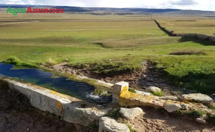 Venta  de Finca de pastos en Segovia