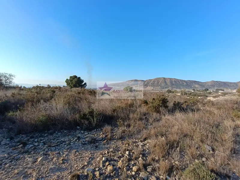 Finca Rustica en Serreta Monforte del Cid 13000m2