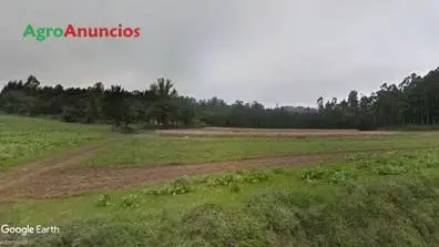 Venta  de Finca para plantaciones y prado en A Coruña