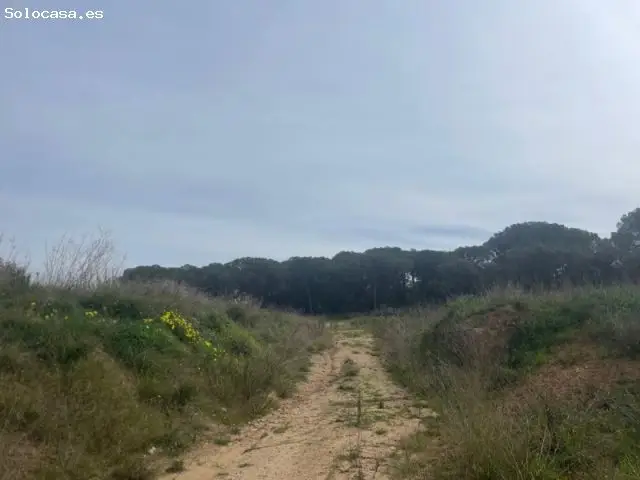 Terrenos en Baix Empordà 31170m2 13816m2