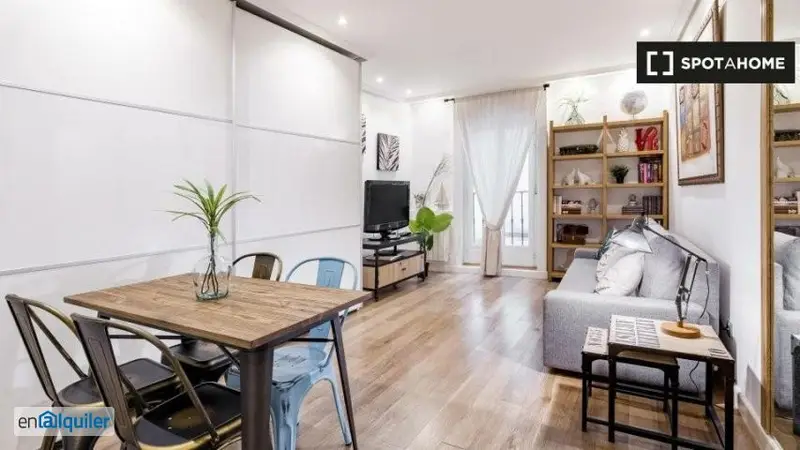 Apartamento 1 Dormitorio Cortes Madrid Amueblado