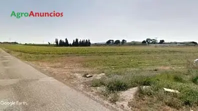 Venta  de Finca para recreo, huerta, caseta aperos en Murcia