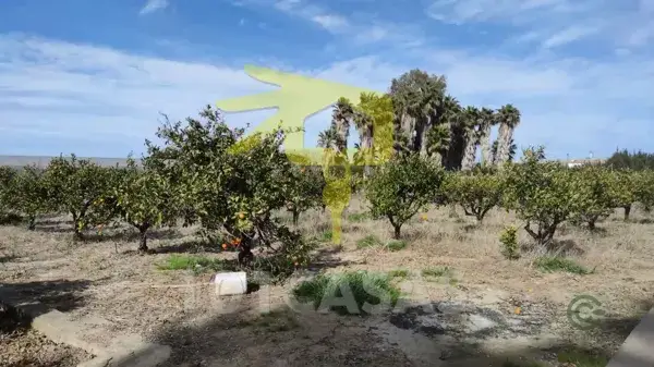 Campo en Venta cerca de Sueca para Hobby 018ha
