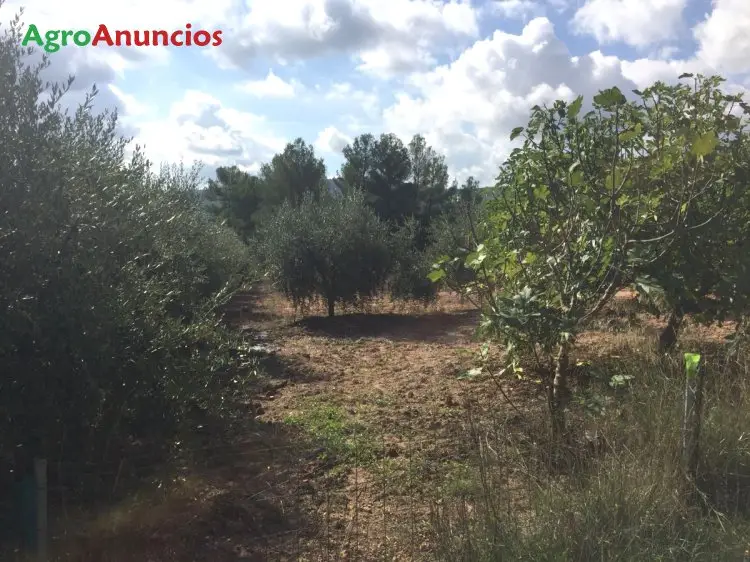 Venta  de Finca de recreo en Barcelona