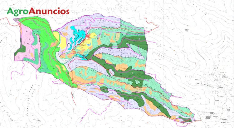 Venta  de Finca forestal con masía en Barcelona