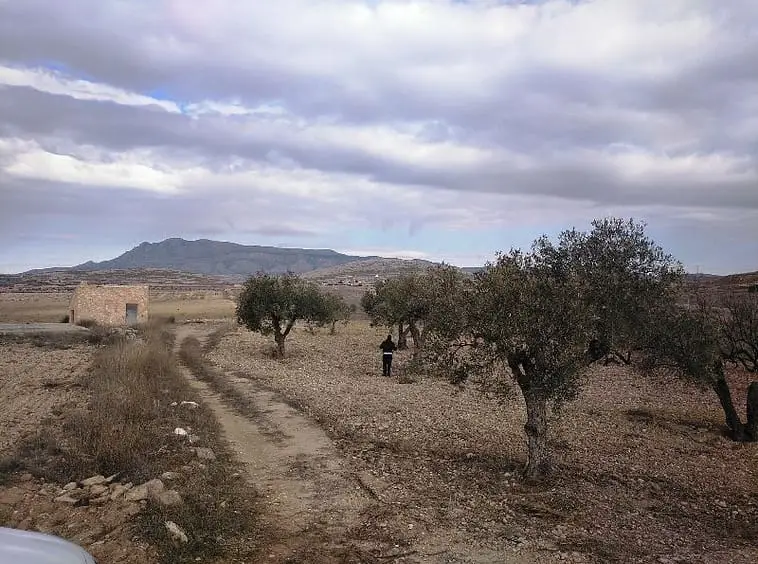 Terreno Agricola en Venta Jumilla Murcia 160000m2