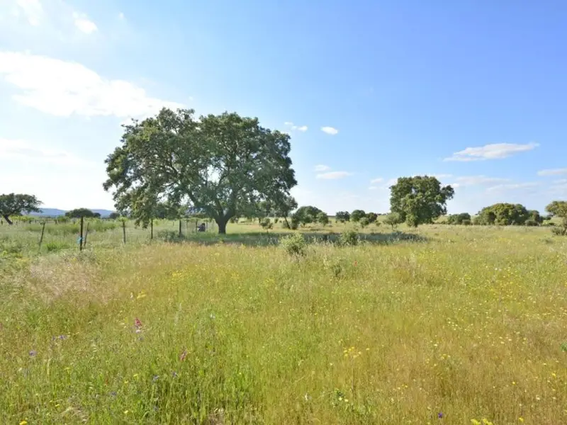 venta Terreno en Cáceres, Cáceres Provincia (64958)- Globaliza