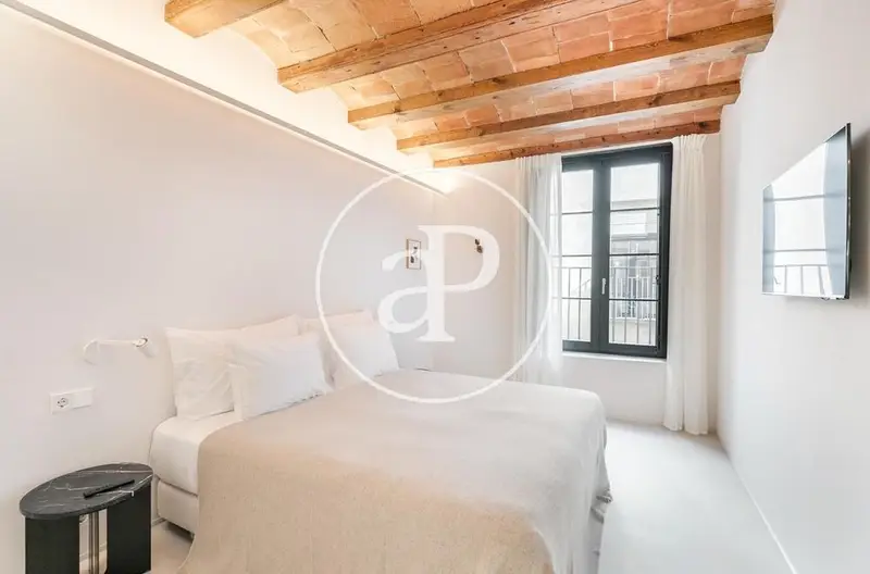 Alquiler piso lujo 90m2  Barcelona Edificio Historico