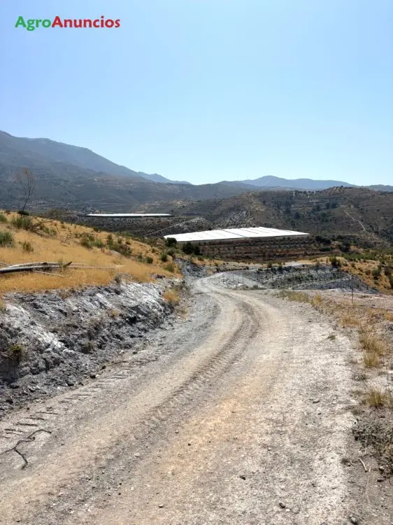 Finca Rustica de Regadio en Velez de Benaudalla Granada