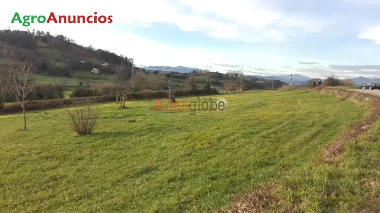 Venta  de Terrenos rústicos con servicios en Asturias