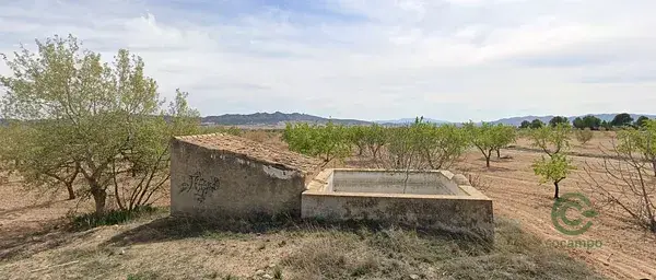 Parcela Rustica con Almendros y Manantial cerca de Yecla