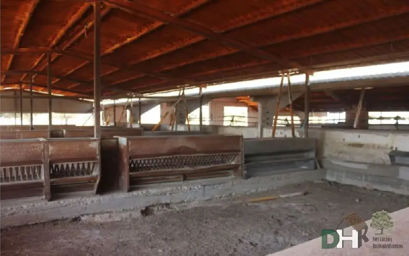 Venta Finca Rustica 60 Hectareas Caceres Ganaderia