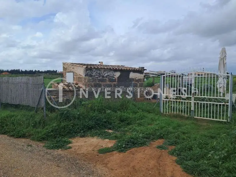 Finca Rustica en Venta cerca Playa de Muro