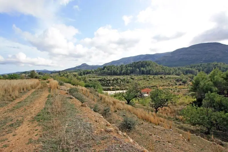 Terreno Rustico con Vistas a la Montana en Murla