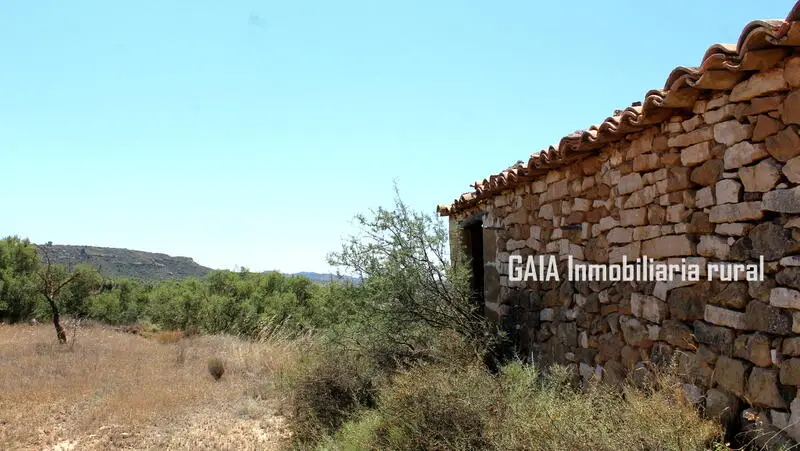 Casa de Campo en Maella con Terreno de 19 Ha