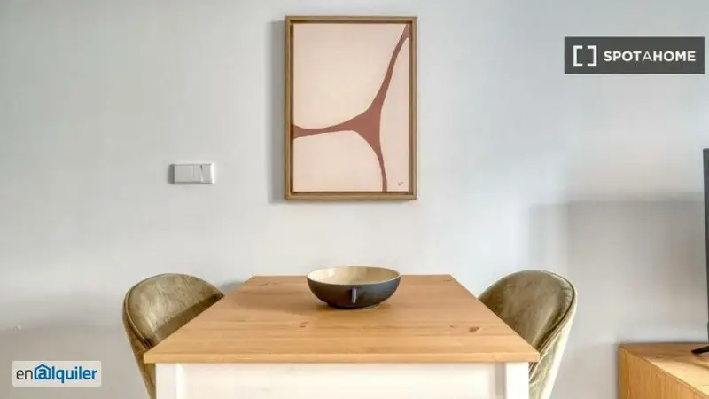 Apartamento 1 Dormitorio Madrid Alquiler Amueblado