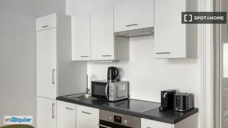 Apartamento 2 Dormitorios Alquiler Albertgasse Amueblado