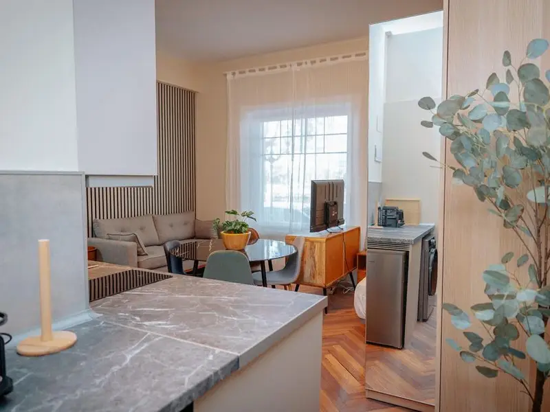 Alquiler Piso 1 Dormitorio Campo Volantín Bilbao