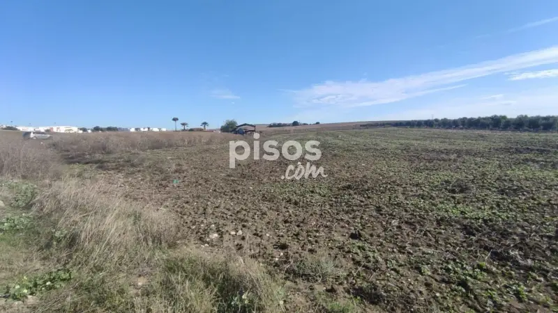 Finca rústica en venta en Las Cabezas de San Juan