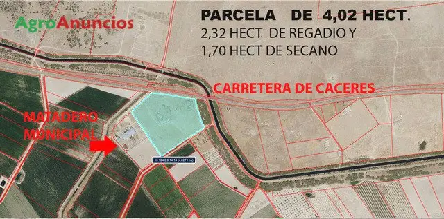 Finca Regadío y Secano en Cáceres 402 hectáreas
