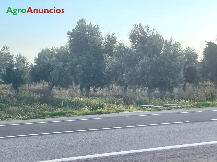 Compra  de Finca de regadío en Madrid