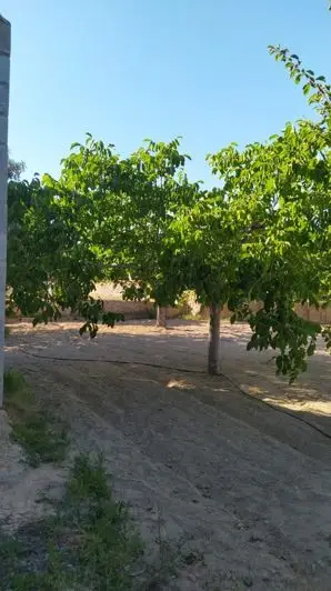 Villa 3 Dormitorios Venta Costa Blanca
