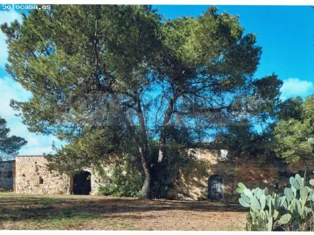 Finca Rústica Con 217.089 M2 Entre Felanitx Y Porreres