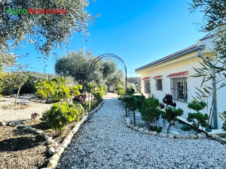 Venta  de Casa de campo en Málaga