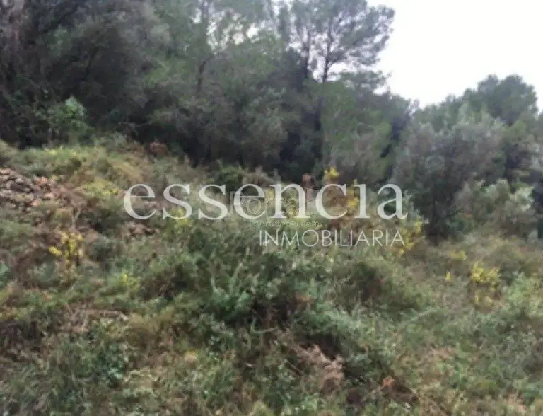 Venta Solar en Ayuntamiento, Oliva - Ref: PELRE-00784