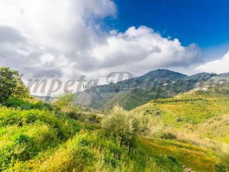Parcela en Venta en Competa con Vistas al Mar