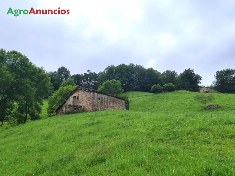 Venta  de Finca con 3 cabañas de piedra en Cantabria