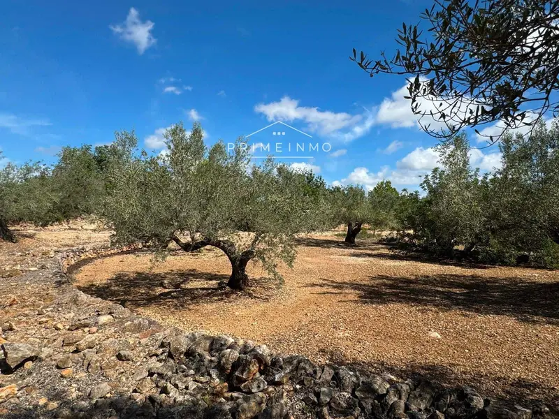 Terreno Rustico en Venta El Perelló Tarragona