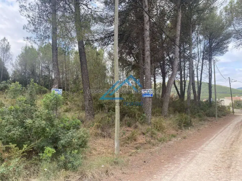 Parcela Rustica en Venta en El Montmell 1000m2