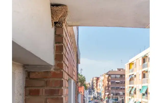 Habitaci
ón 100m
² Amueblada Burjassot - Cerca del Metro
