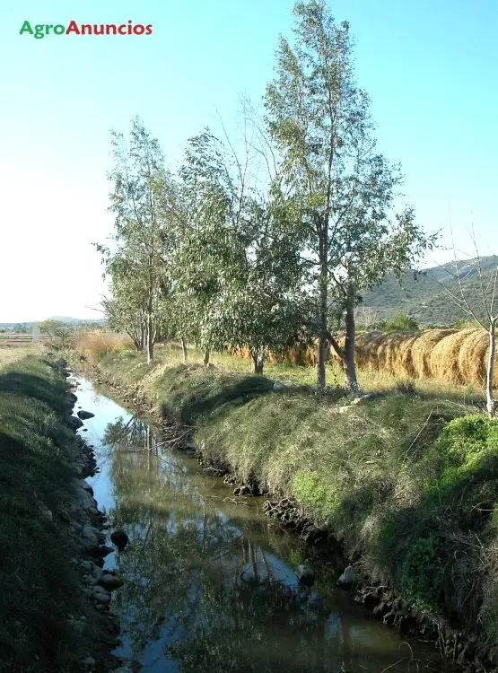 Venta  de Terreno de regadío en Tarragona